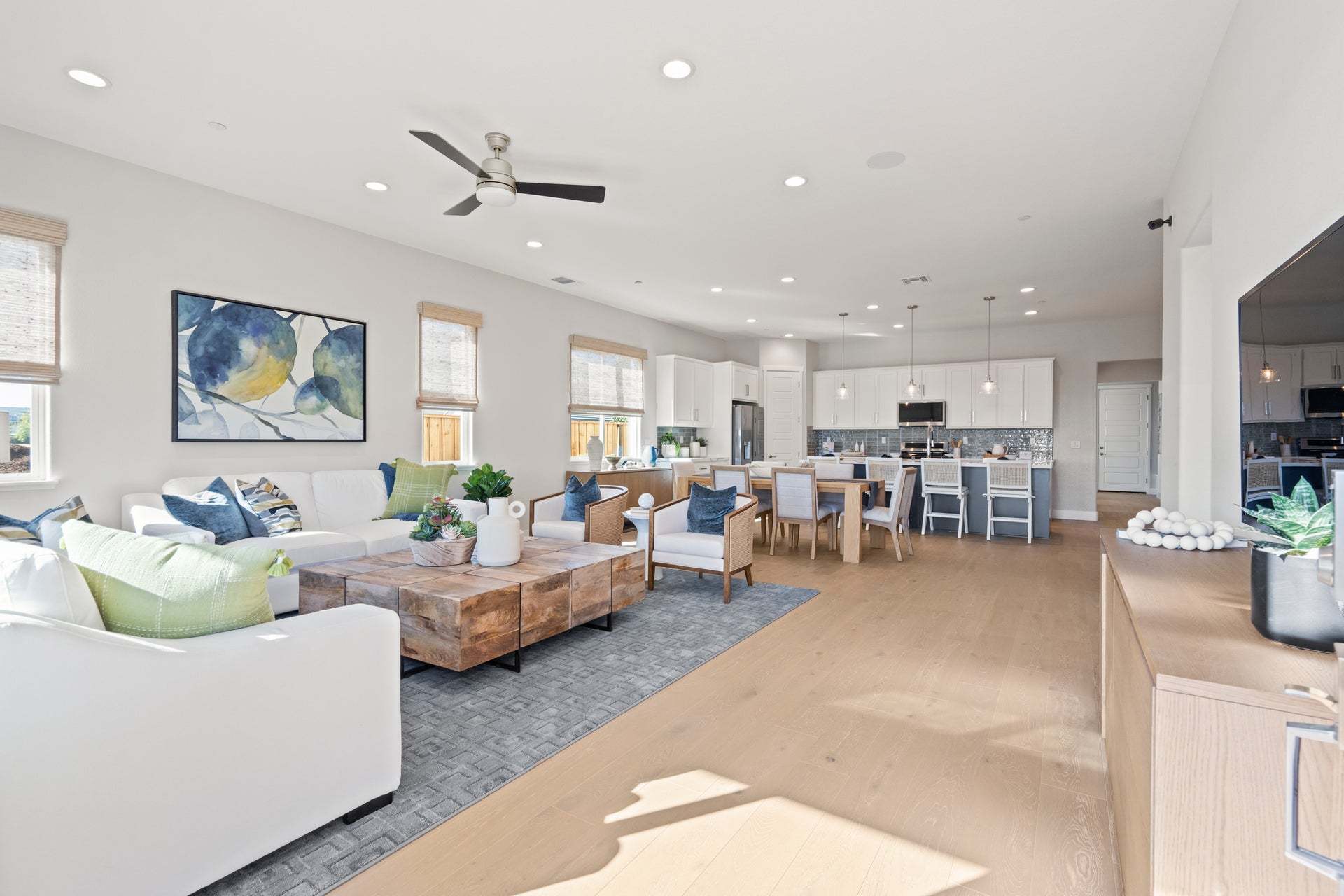 Greenway Residence 3 - Entry into Living Room