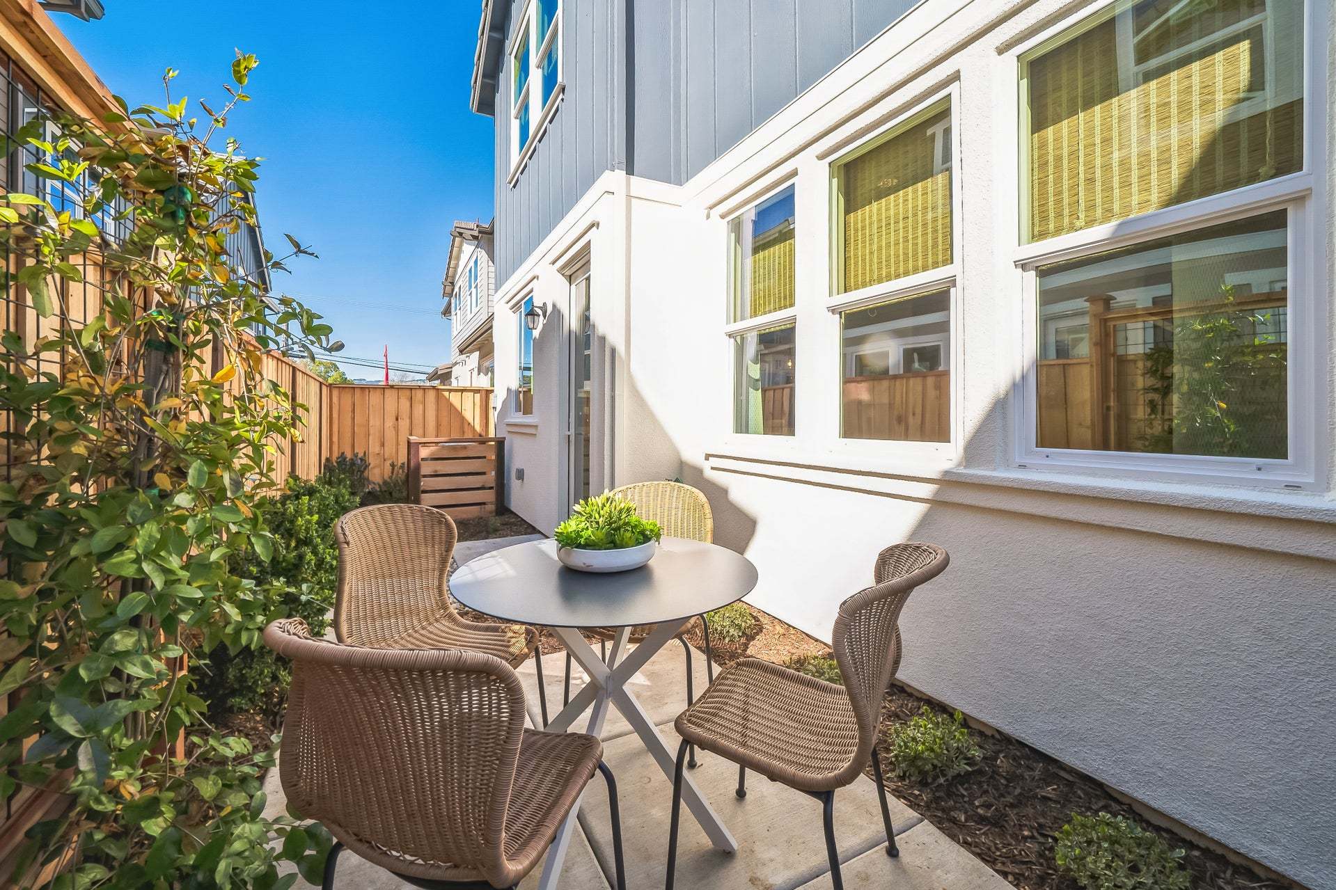 Residence 3 | Backyard