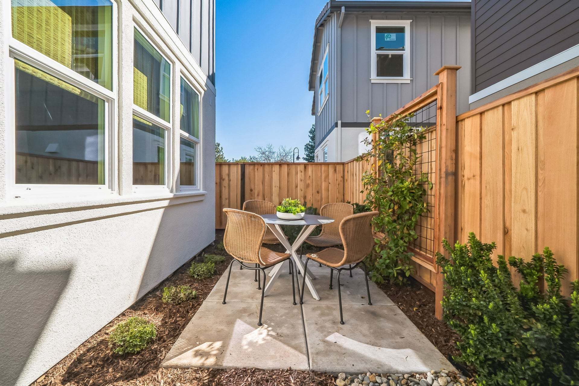 Residence 3 | Backyard