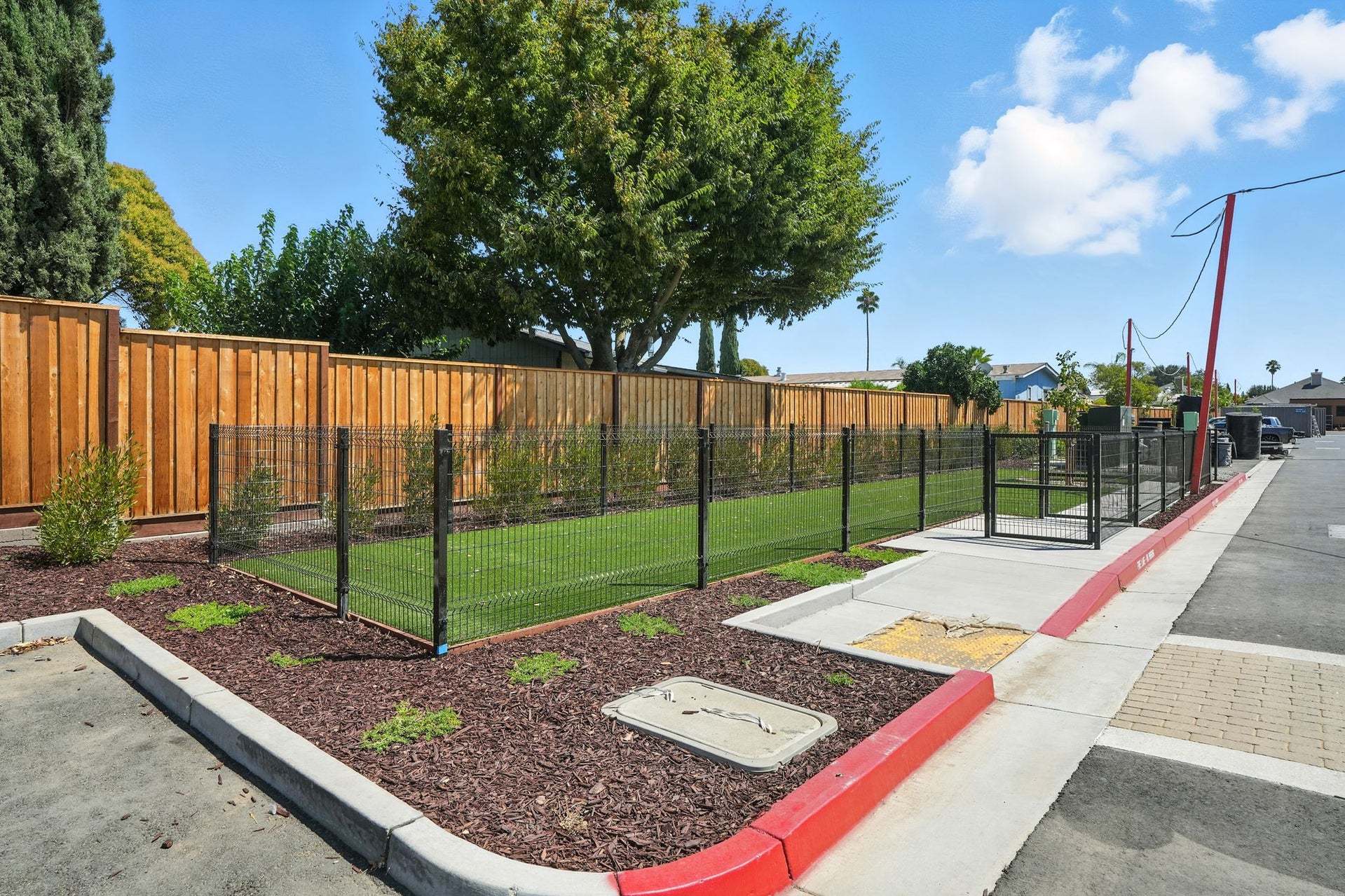 Dog Park