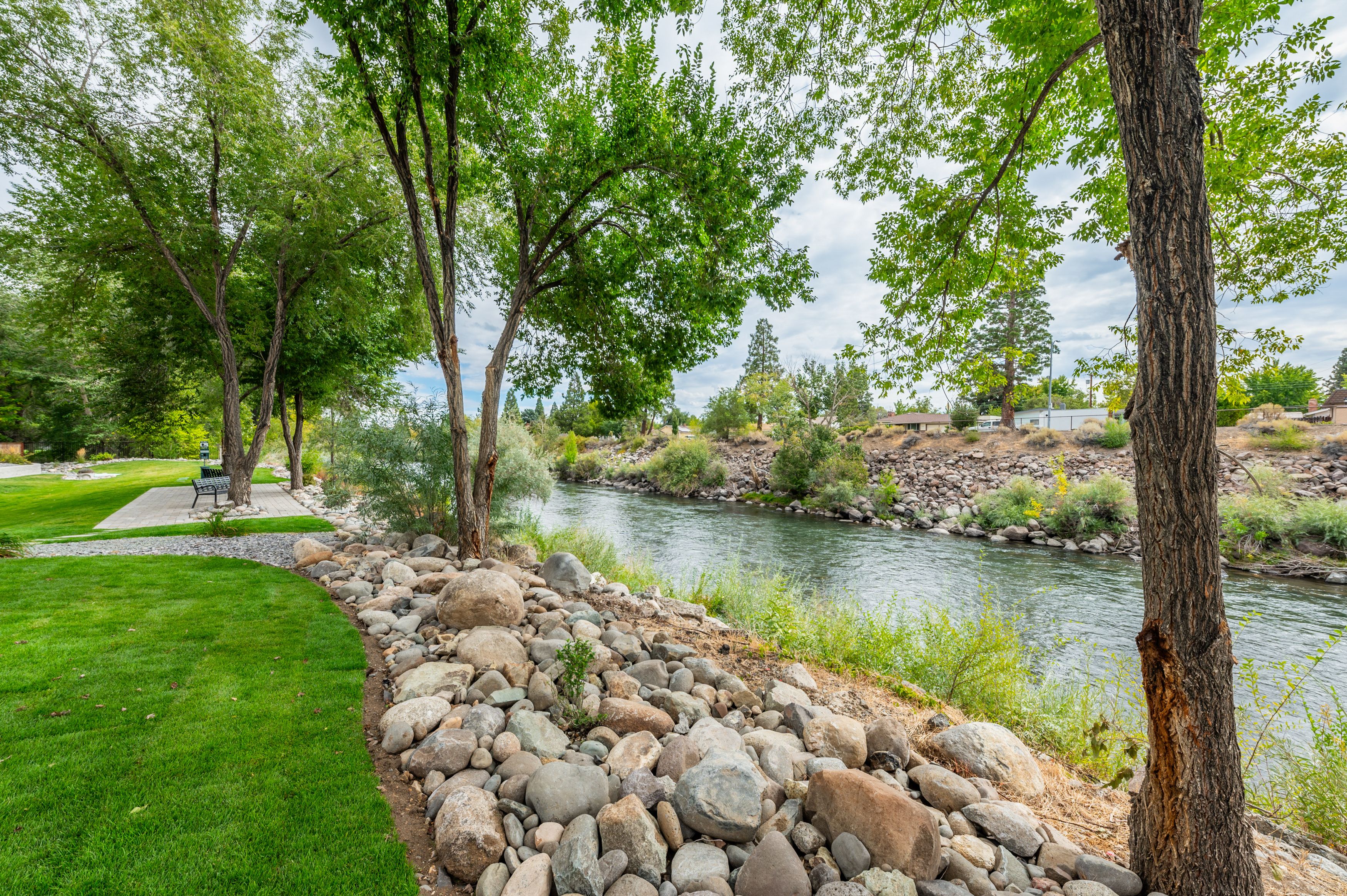 Truckee River Green