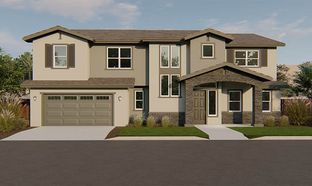 Cambria - Pheasant Meadows: Oakley, California - Discovery Homes