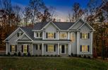 Distinctive Domain, LLC - Warren, NJ