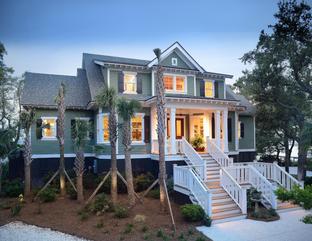 Dolphin - : Johns Island, SC