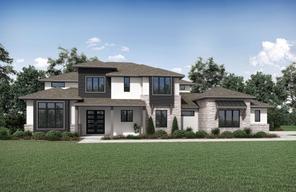 409 Wonderstruck (LYNMAR IV)
