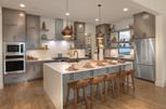 Caliterra - 80' - Dripping Springs, TX