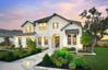casa en Provence - 60' por Drees Custom Homes