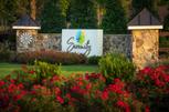 Serenity Executive - Fuquay Varina, NC