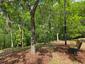 casa en Landing at Olde Florida por Drees Homes