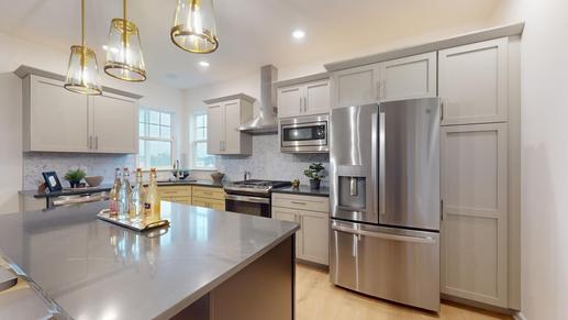 Coriander Entertainer Kitchen