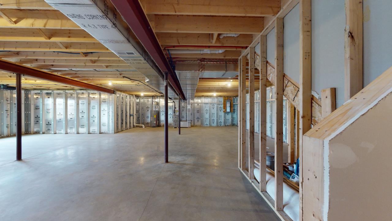 Coriander Unfinished Basement