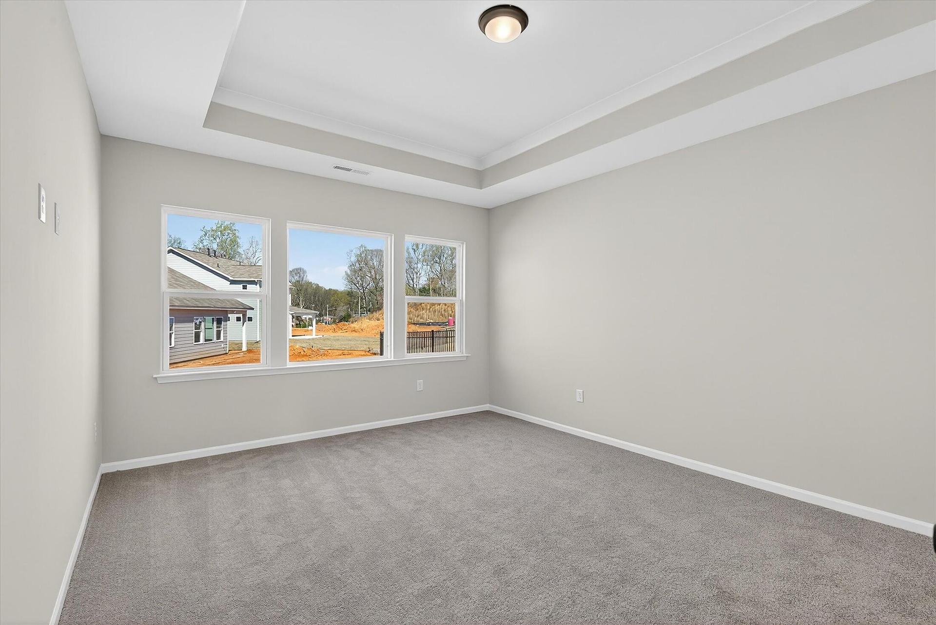 Premier Suite with Tray Ceiling