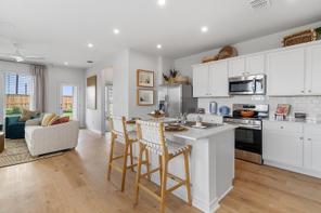 4954 Miagave (Bandera)