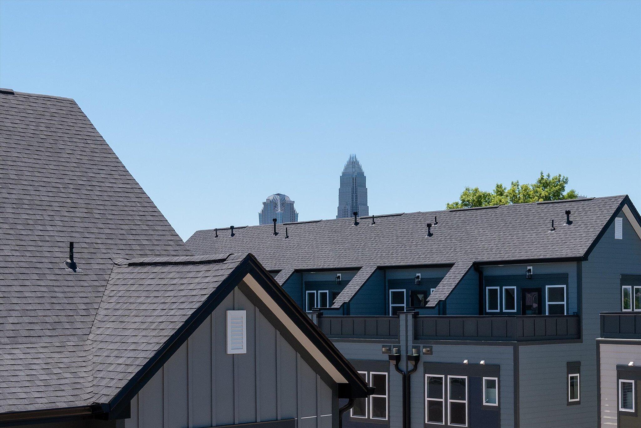 Rooftop Terrace Views