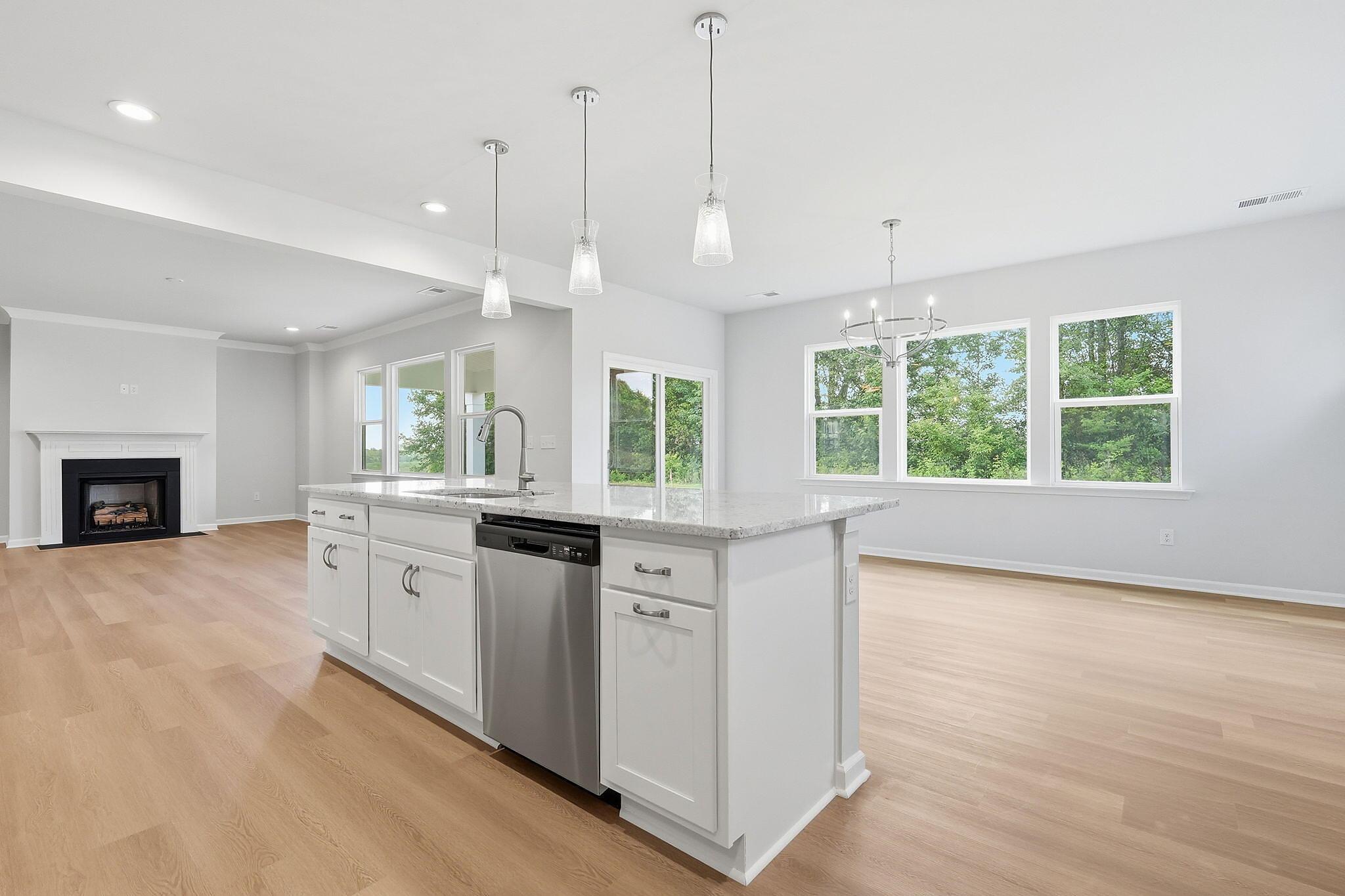 Kitchen, Breakfast & Family Room