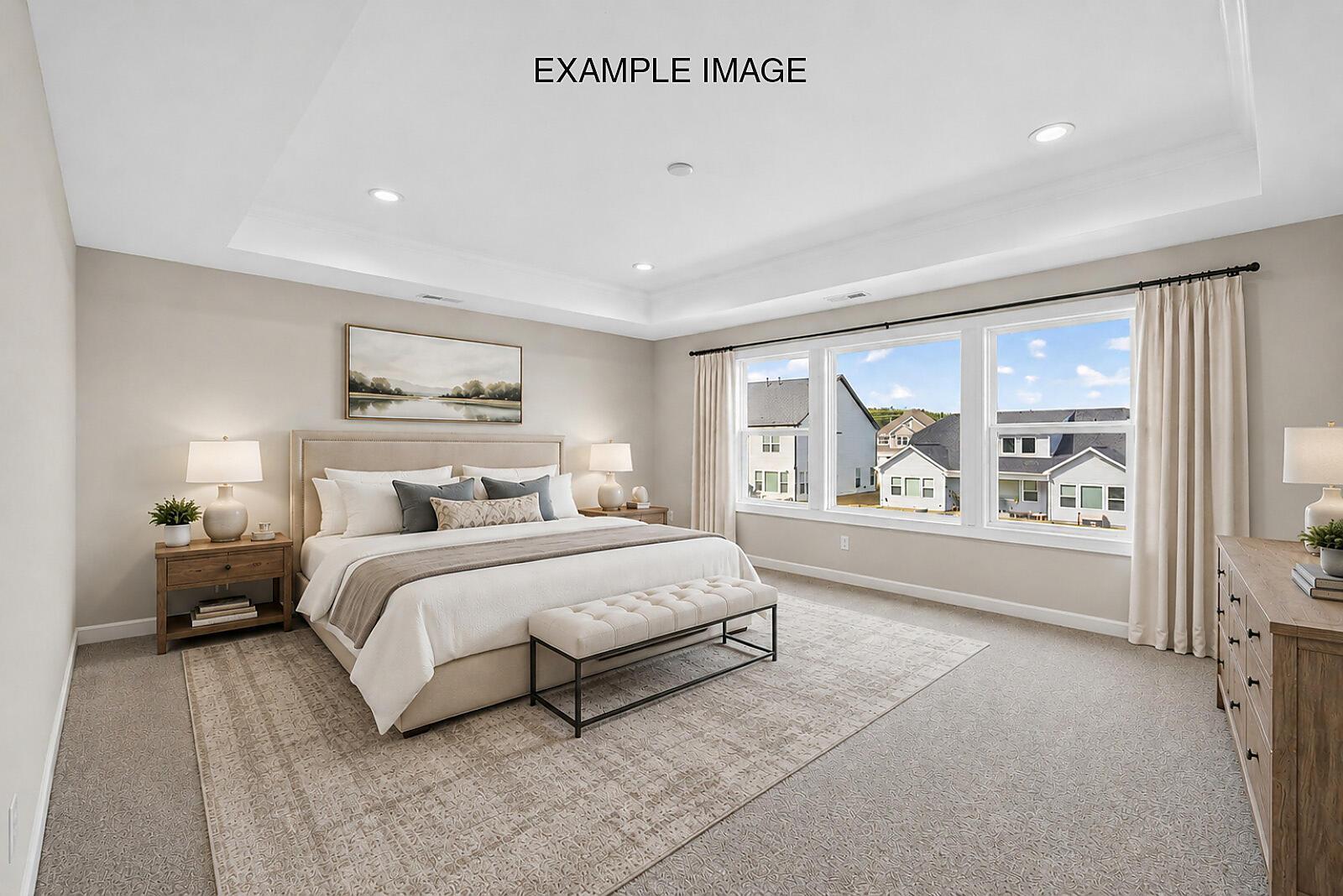Premier Suite - Example Image