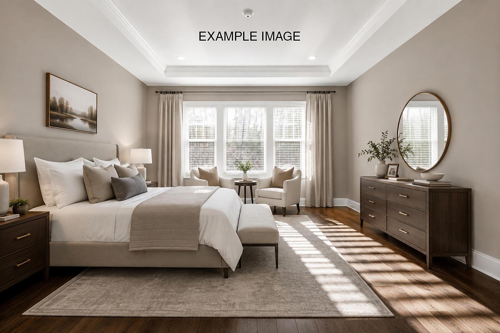 Premier Suite - Example Image