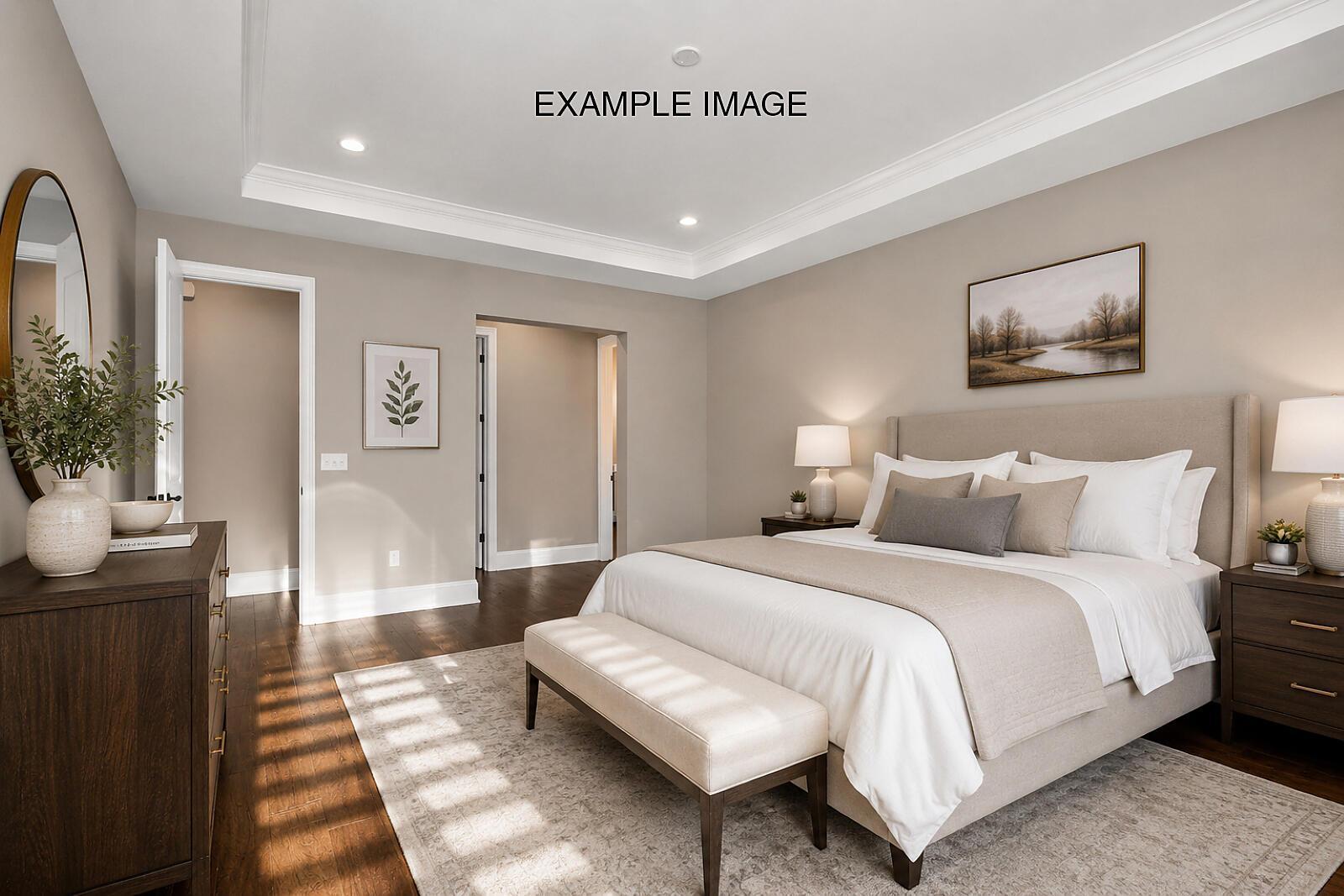 Premier Suite - Example Image