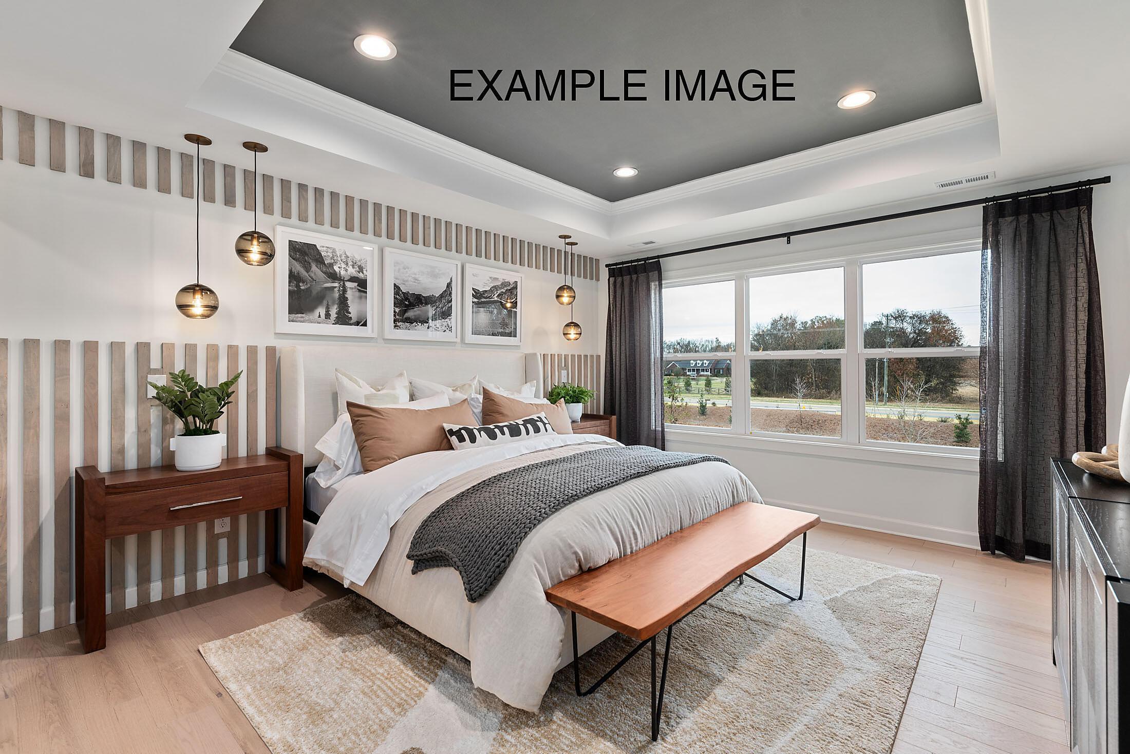 Premier Suite - Example Image