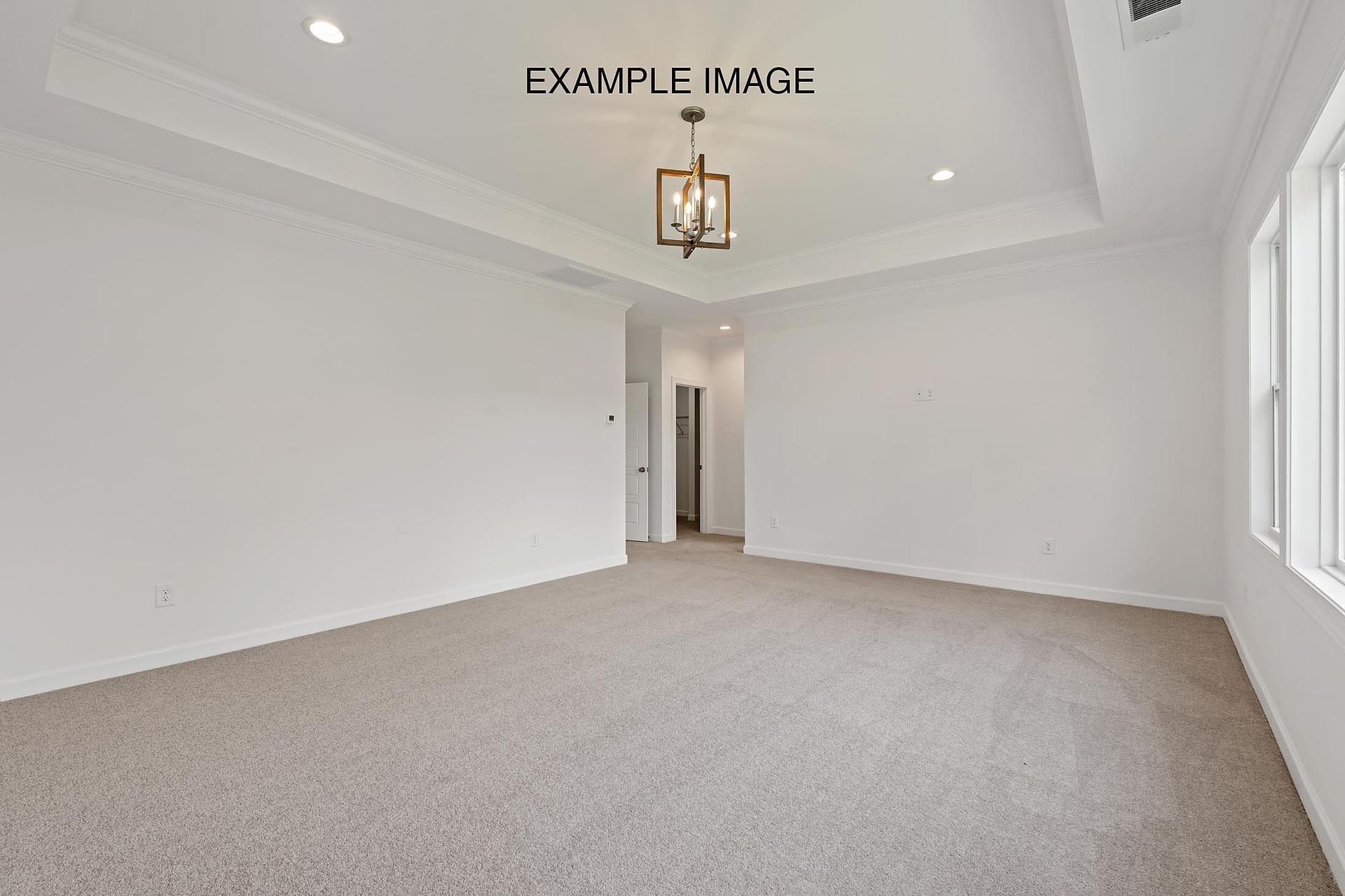Premier Suite - Example Image