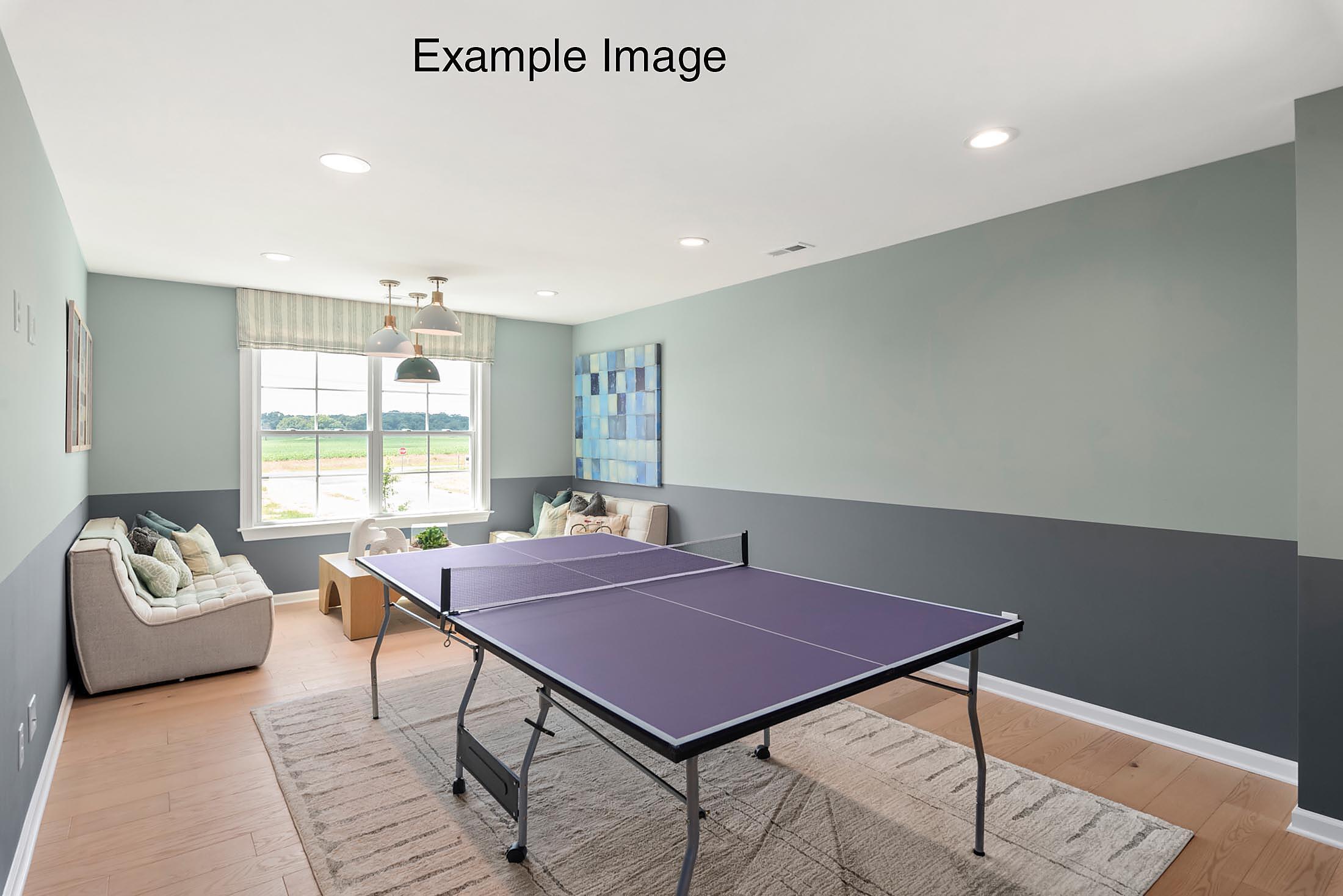 Rec Room - Example Image