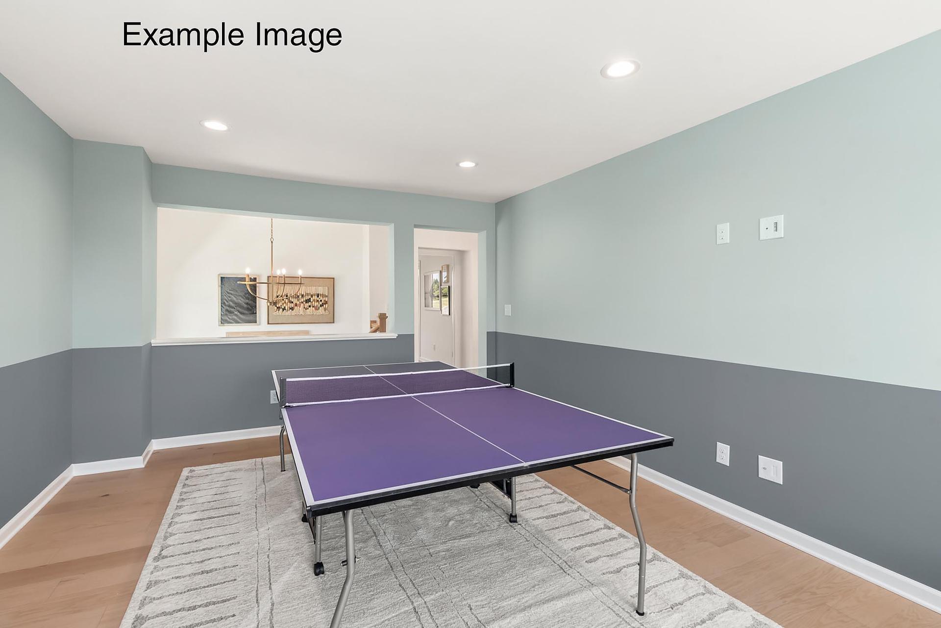 Rec Room - Example Image