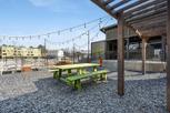 Longreen - Atlanta, GA