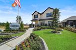 Venetian Pines - Conroe, TX