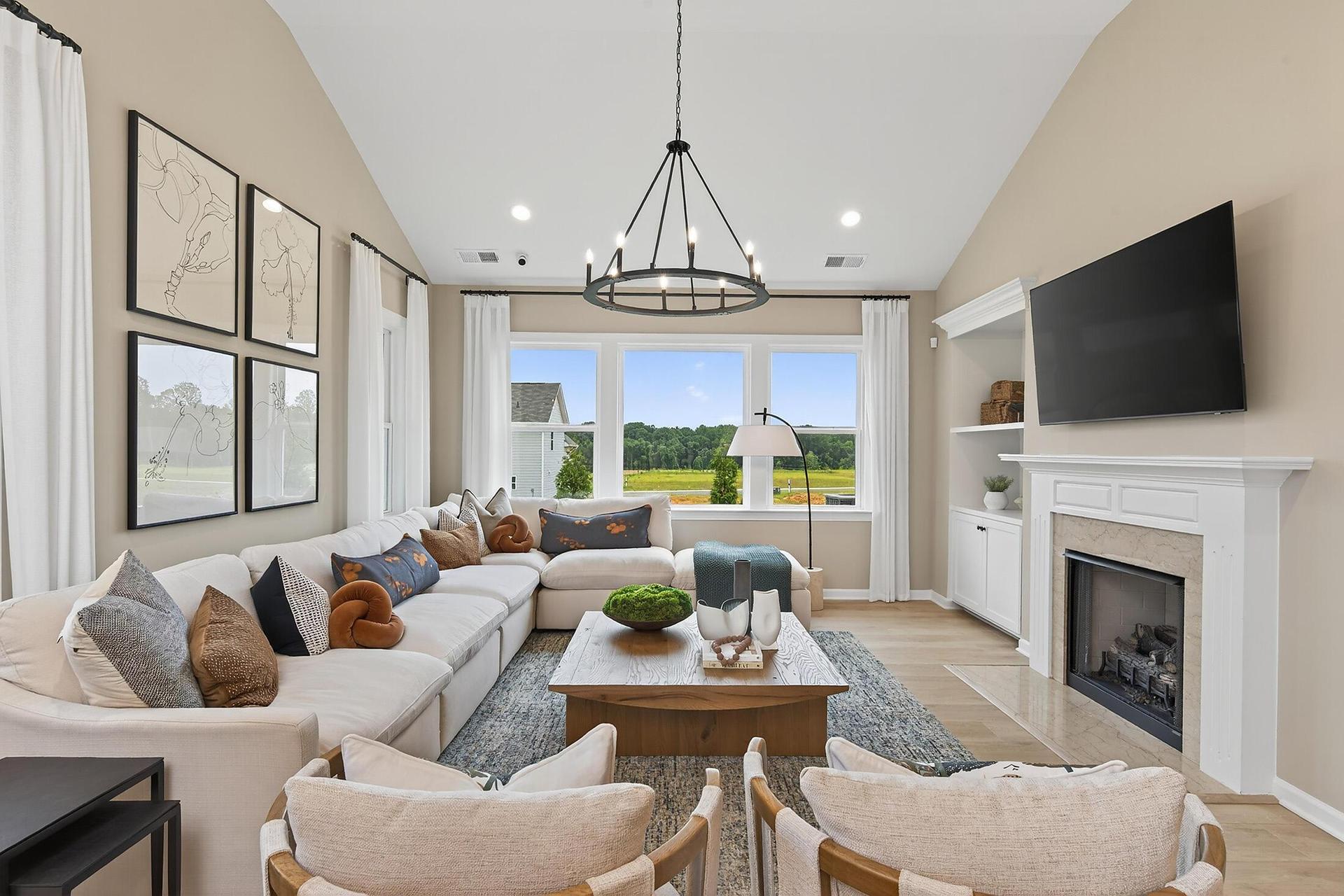 Family Room - opt fireplace & built-ins