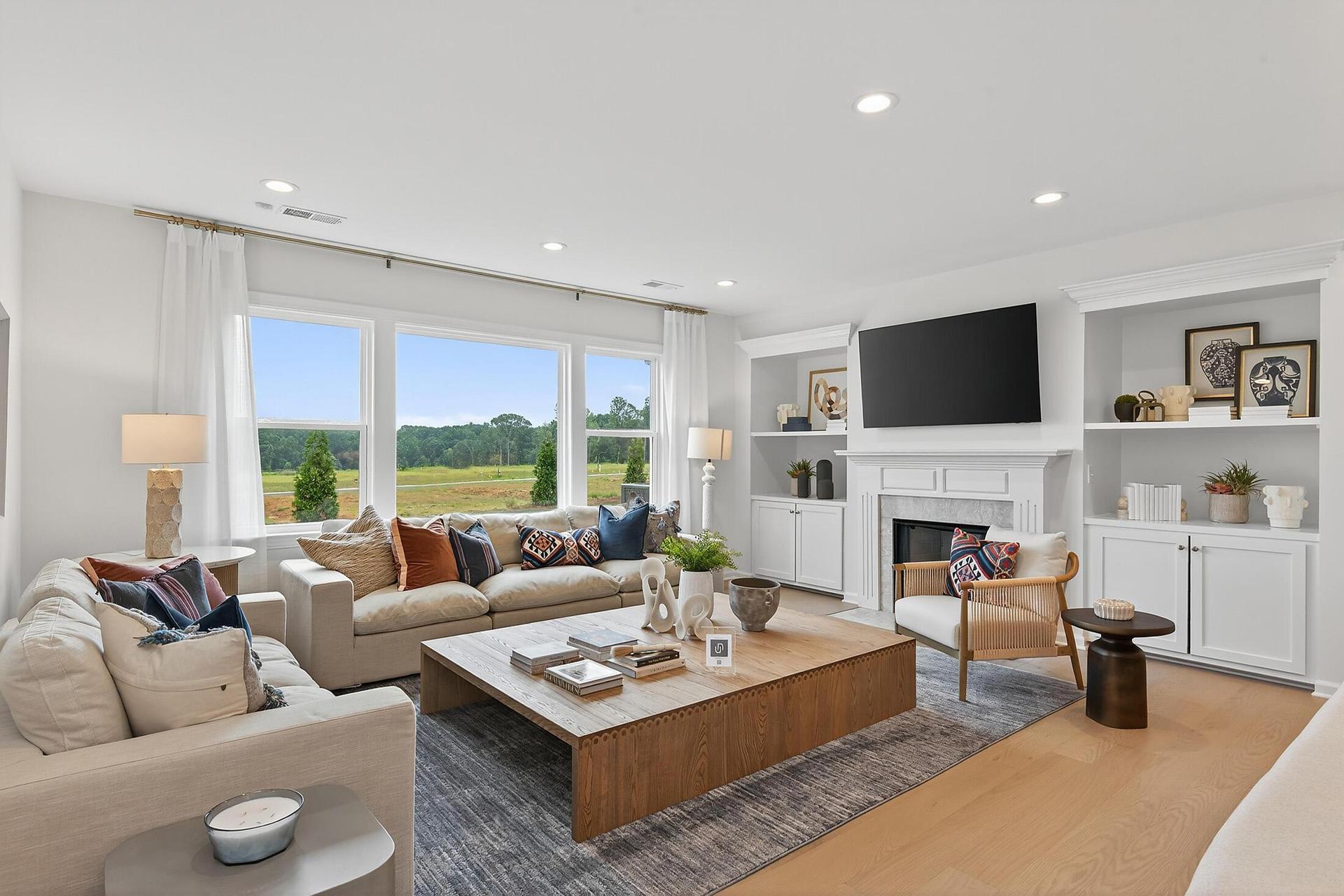 Family Room - opt fireplace & built-ins