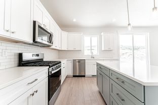 Jesse - Wildflower 2.0: Saratoga Springs, Utah - EDGEhomes