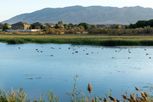 Auburn Springs - Lehi, UT