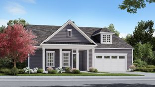 Unity - Summerwind Crossing at Lakes of Cane Bay: Summerville, South Carolina - DRB Elevate