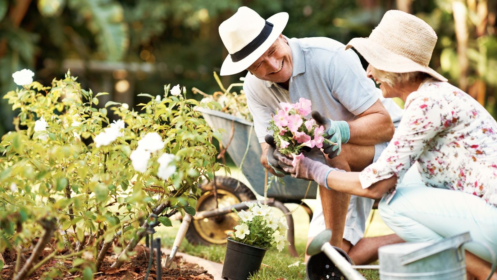Enjoy the Outdoors at Victoria Park at Parkside