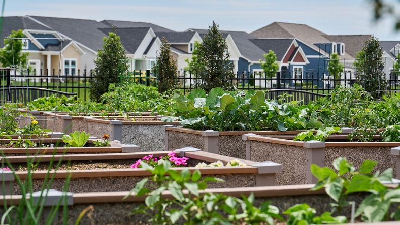 Pick fresh ingredients from community gardens for delicious farm-to-table meals.