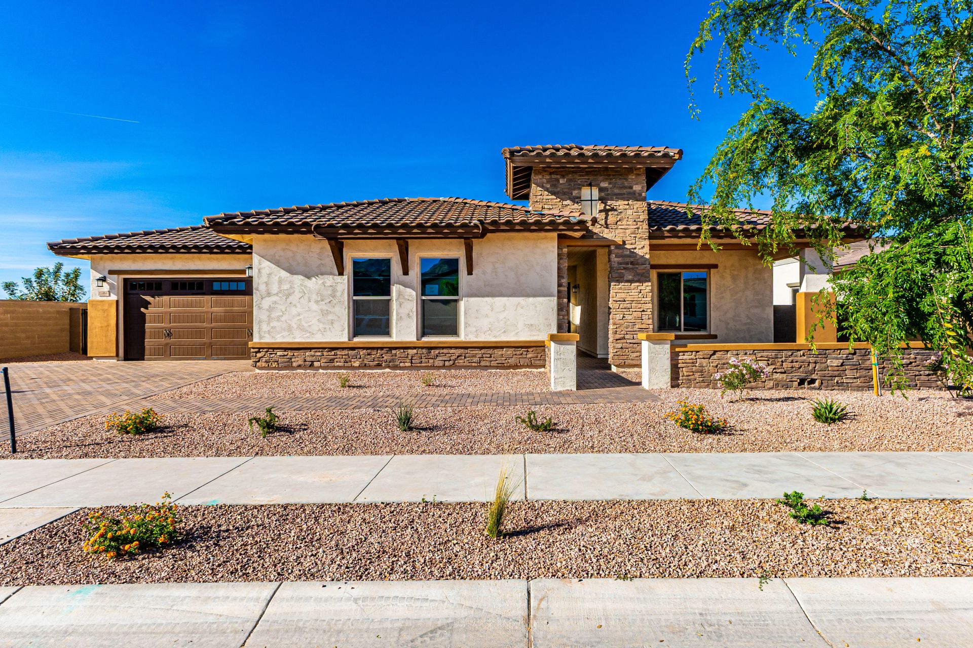 Dolca - Bellero Estates: Queen Creek, Arizona - Elliott Homes