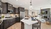 homes in The Courtyards at Lupton Village by Epcon Communities