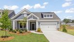 The Courtyards at Stewarts Creek - Smyrna, TN