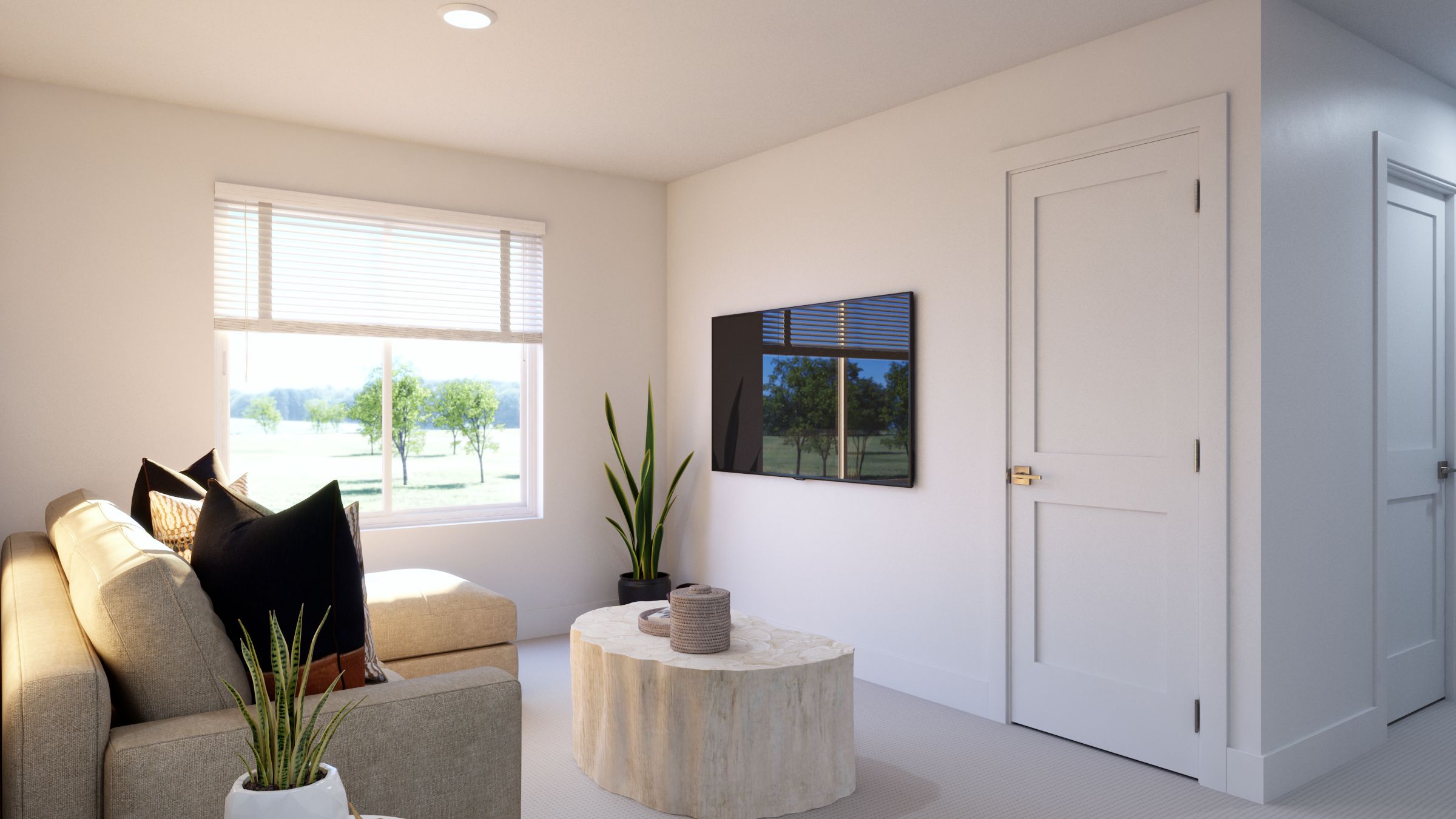 1436 Coral Place. Longmont, CO 80504