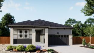 Plan 4002 - The Manors Collection at Golden Overlook: Golden, Colorado - New Home Co.