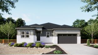 Plan 5001 - The Estates Collection at Talon Pointe: Thornton, Colorado - New Home Co.