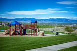 The Estates Collection at Talon Pointe - Thornton, CO