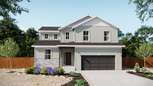 The Legacy Collection at Talon Pointe - Thornton, CO