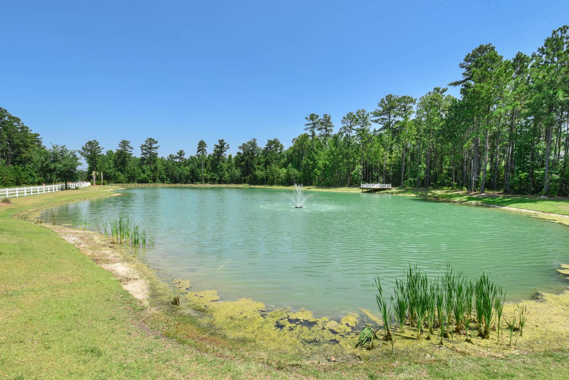 Dunham Marsh Community Pond