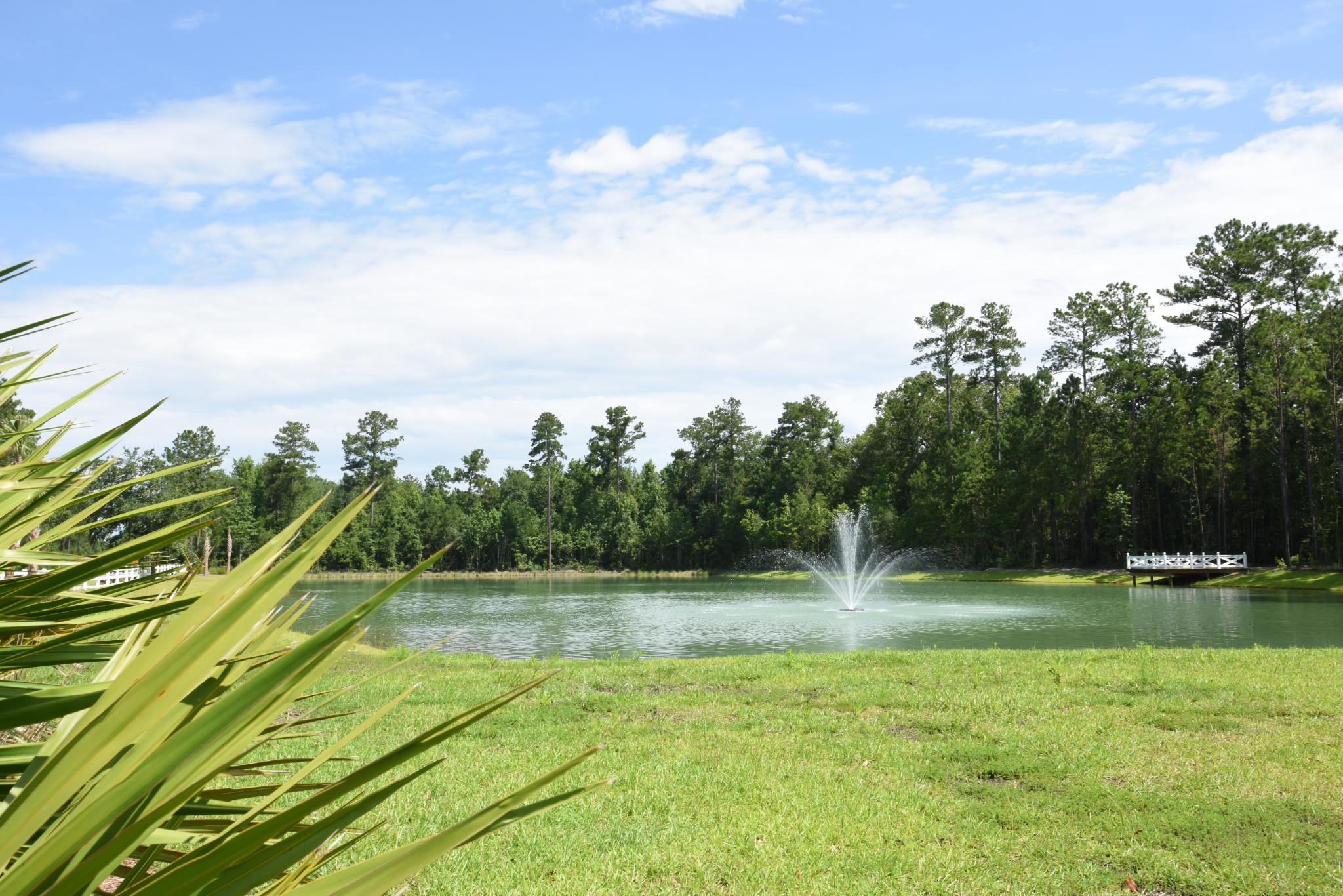 Dunham Marsh