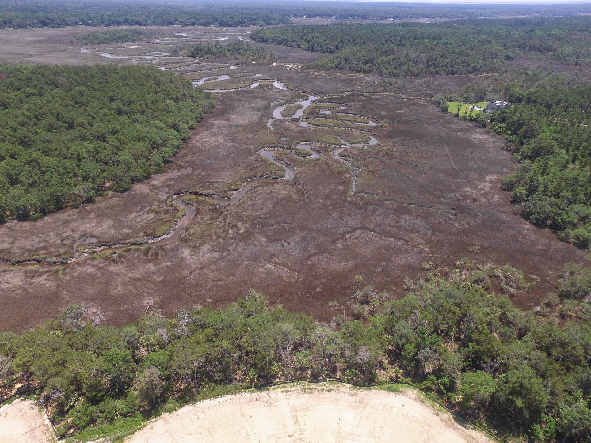 Dunham Marsh