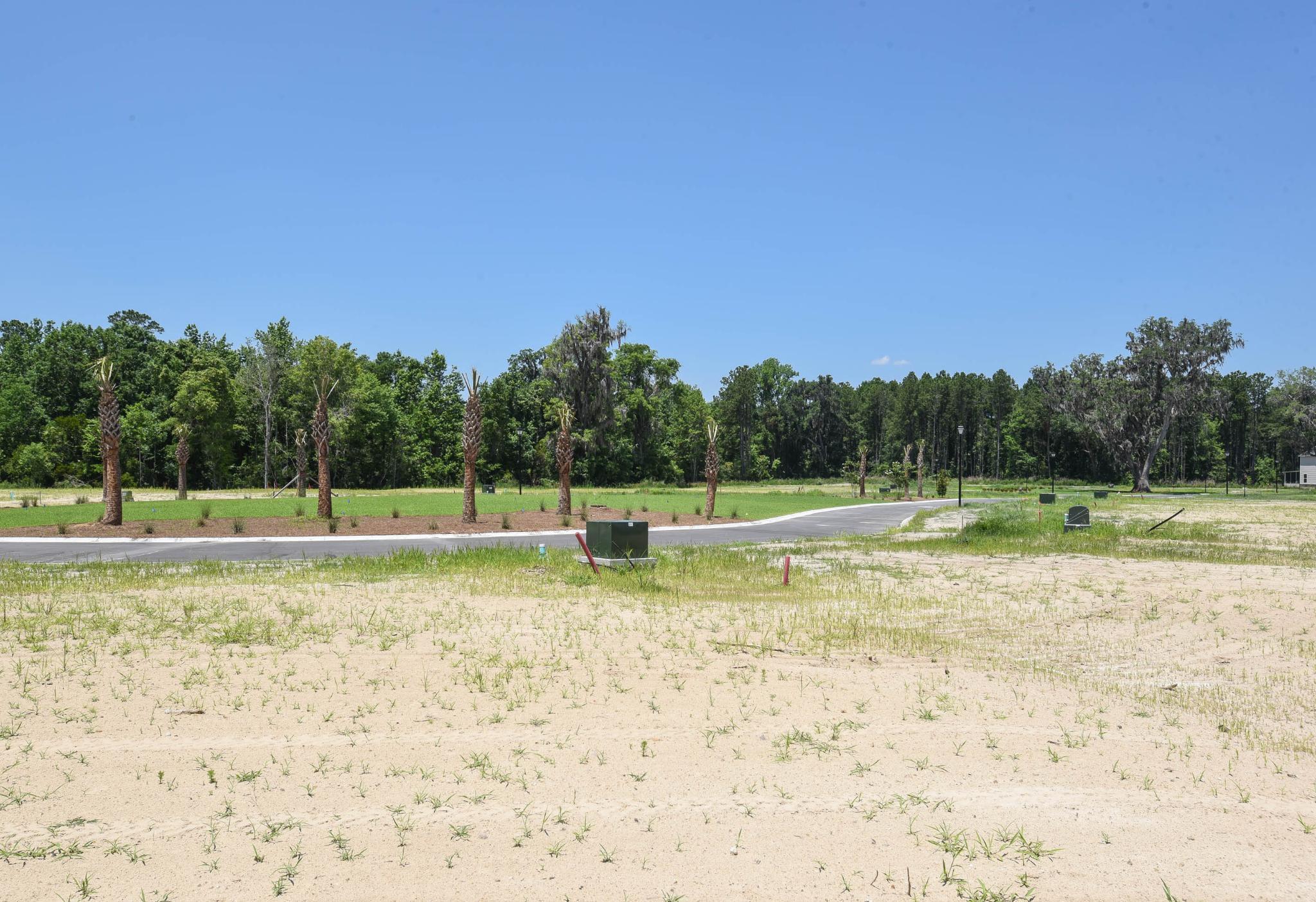 Dunham Marsh