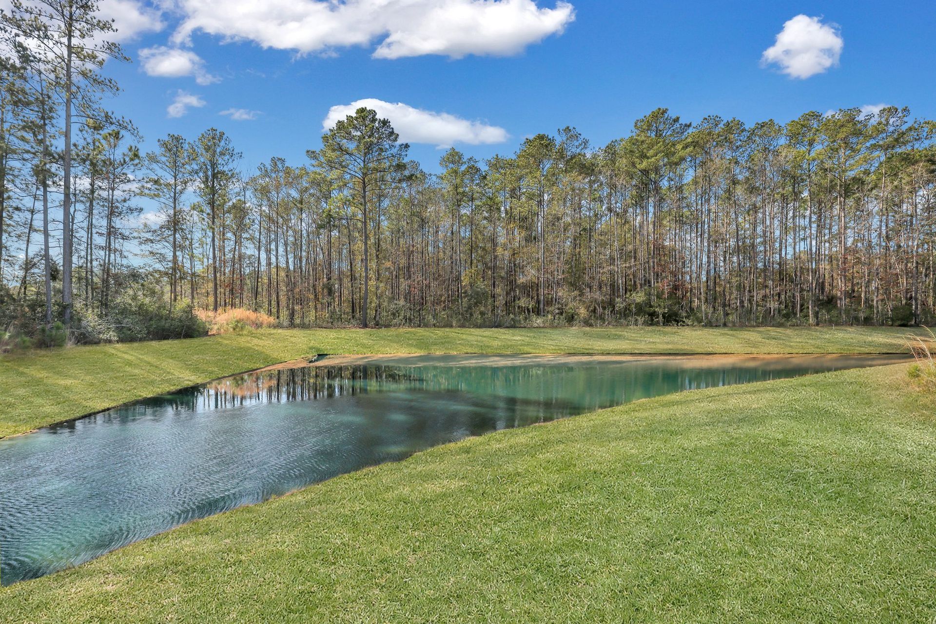 Wexford Community Pond and Wooded Greenspace in Richmond Hill GA