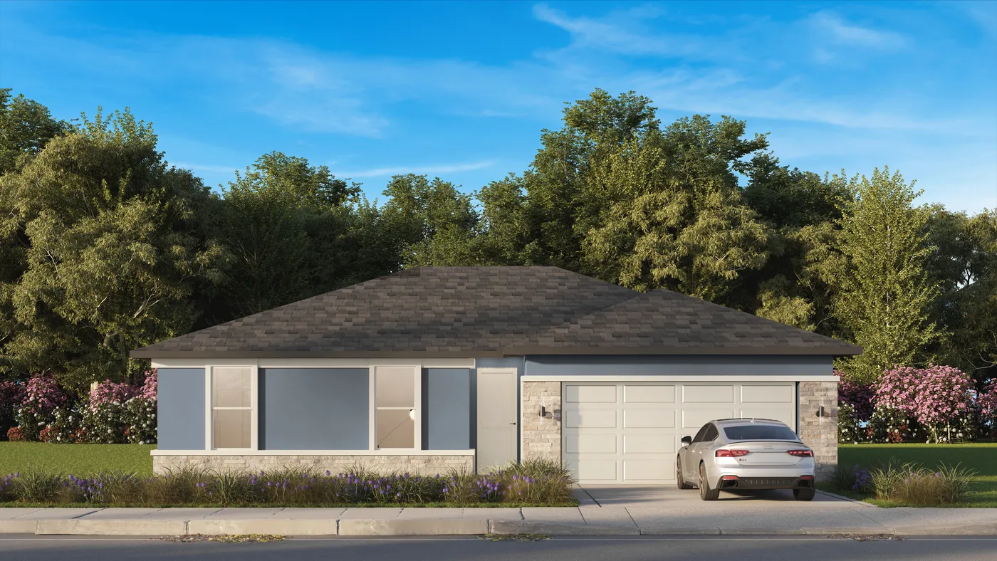 Snapper elevation rendering