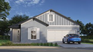 Palomino - Sabana Reserve: Ocala, Florida - Estela Living